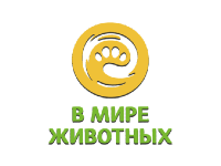 В мире животных